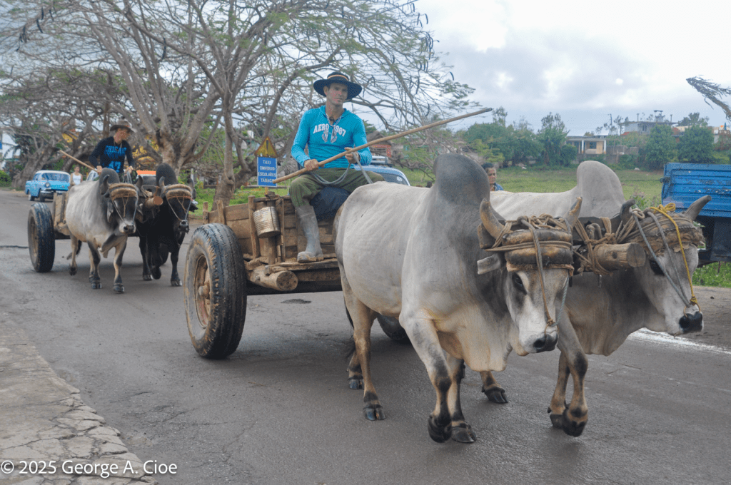 Cuba 2019