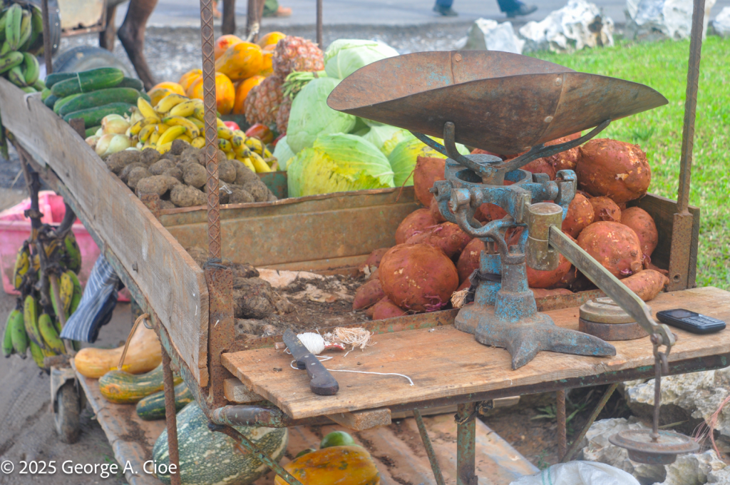 Cuban Fruit Cart 2019