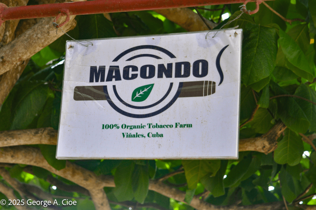 Macondo Tobacco Farm - Cuba 2019