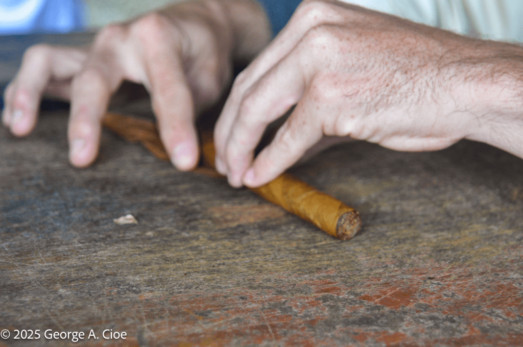 Cuban Torcedor -Macondo Tobacco Farm