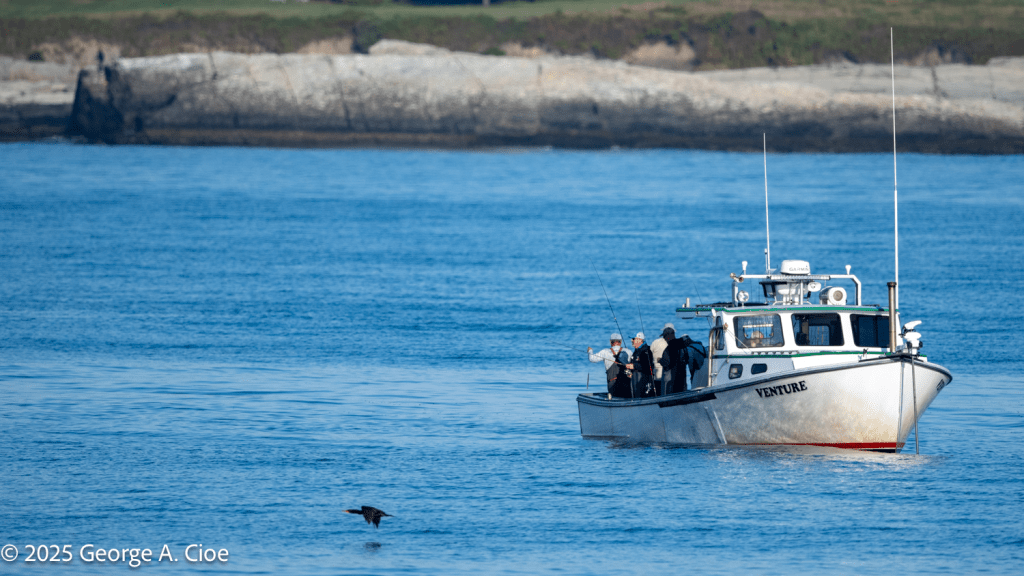 "Strippers or Bust" Sachuest Bay, Rhode Island