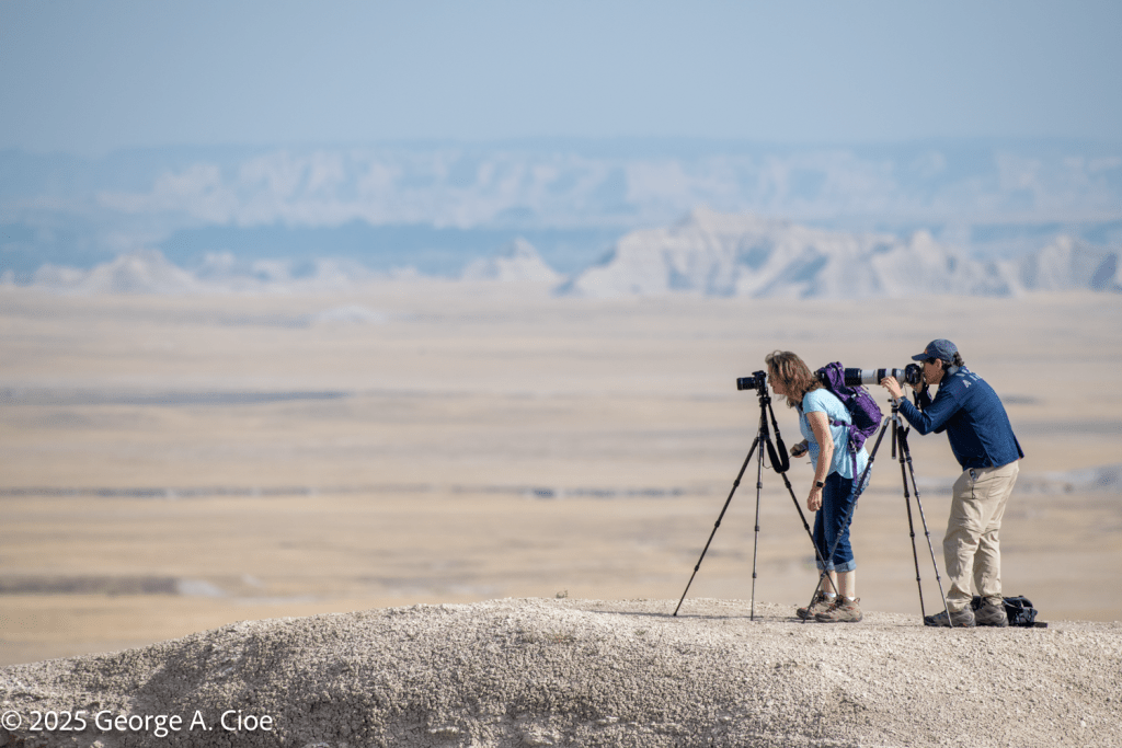 "Joyfully Creating" Badlands