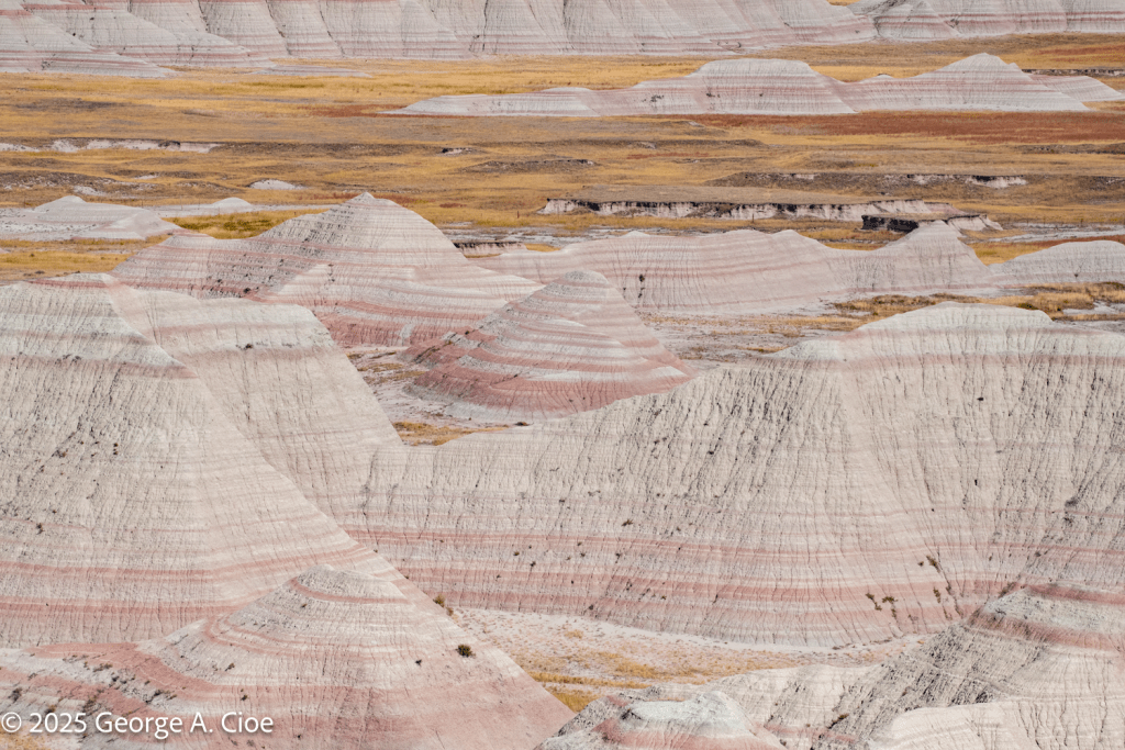"Ruins of the Ancient Sea" Badlands