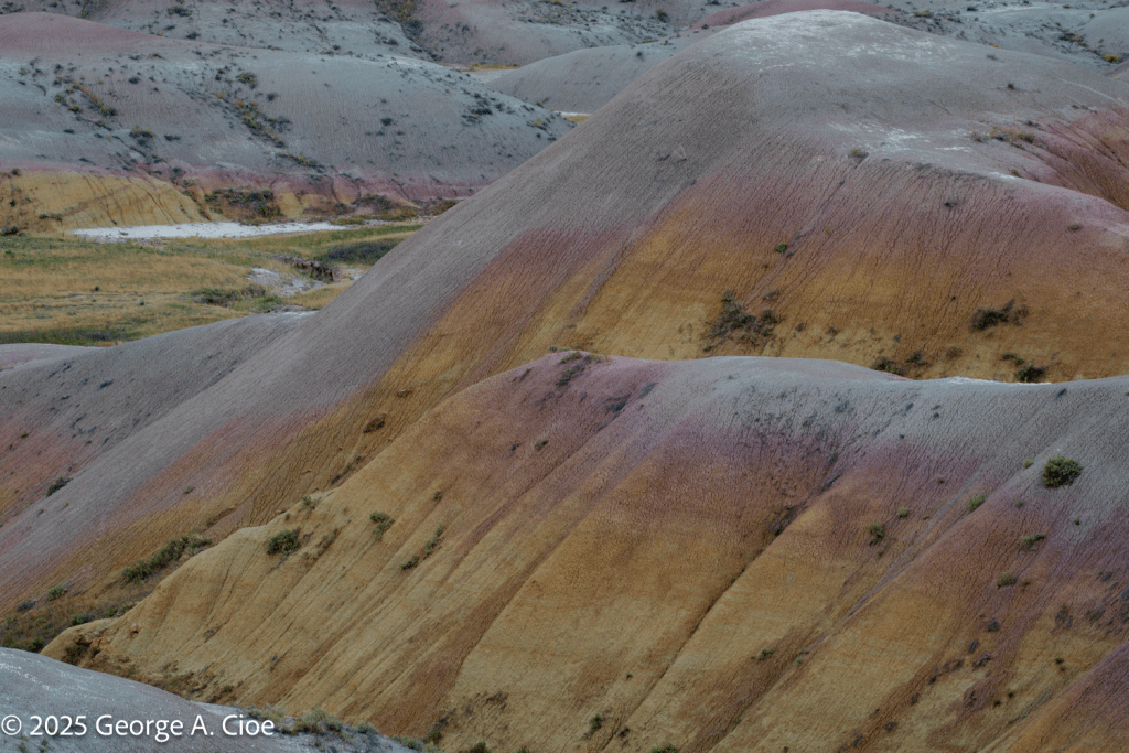 "The Blushing Earth" Badlands