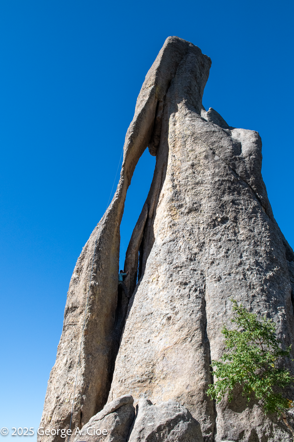 The Needle the Nutjobs and the Noble Spirit of Culinary Innovation