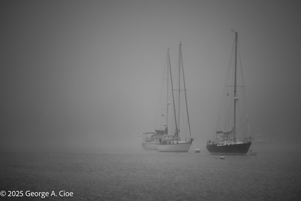 "Mooring Dreams" Three Sailboats