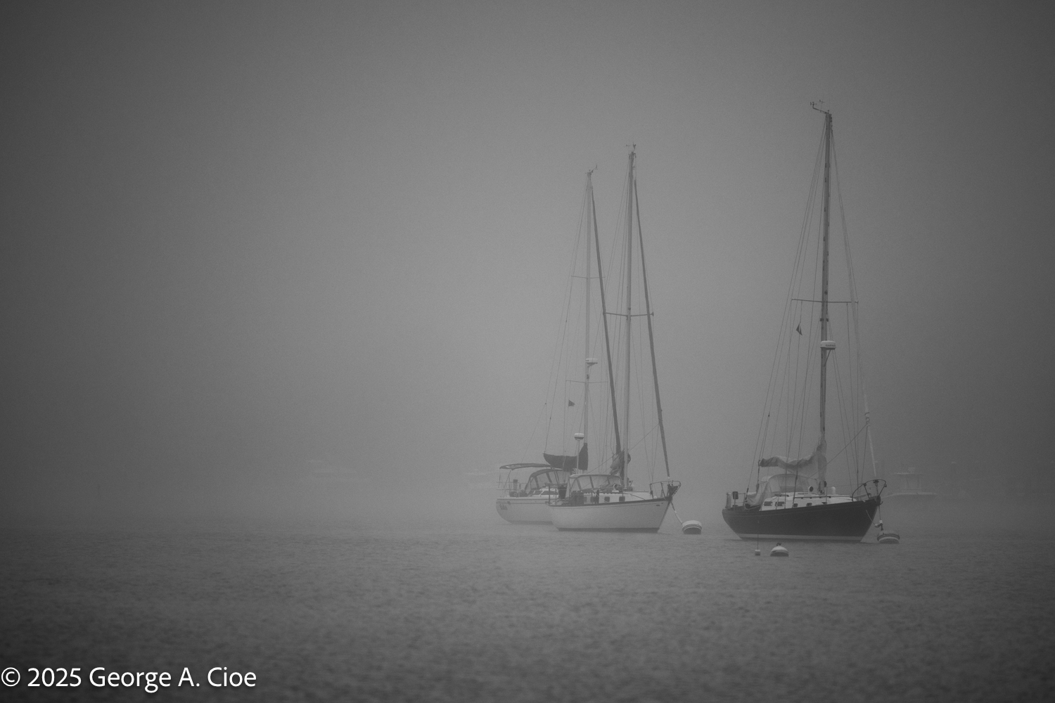 You Can See and Feel the Air in Nature’s Embrace