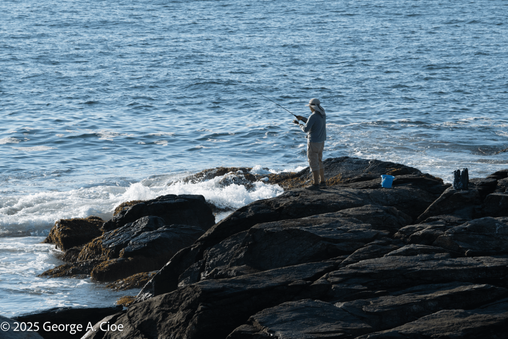 "Casting for Stripers" Sachuest Point, Rhode Island