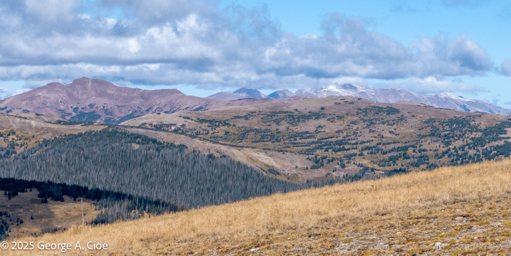 "A Meadow's Song" Rocky Mountains, Colorado