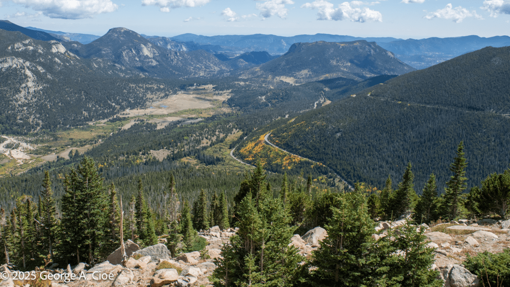 “Meadow of Light” Rocky Mountains, Colorado