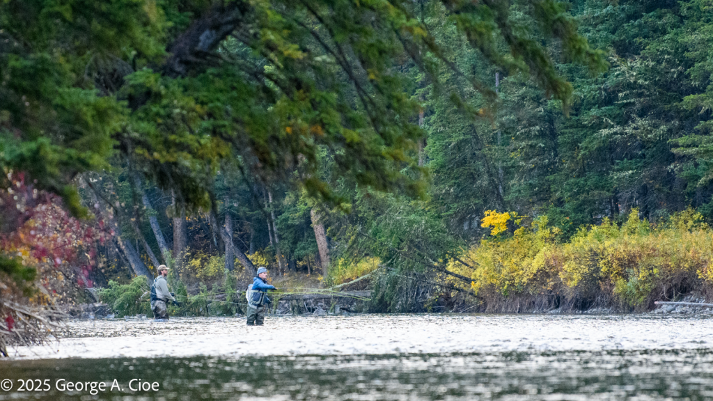 "Gallatin Gentlemen" Fly Fishing, Gallatin River, Big Sky, Montana