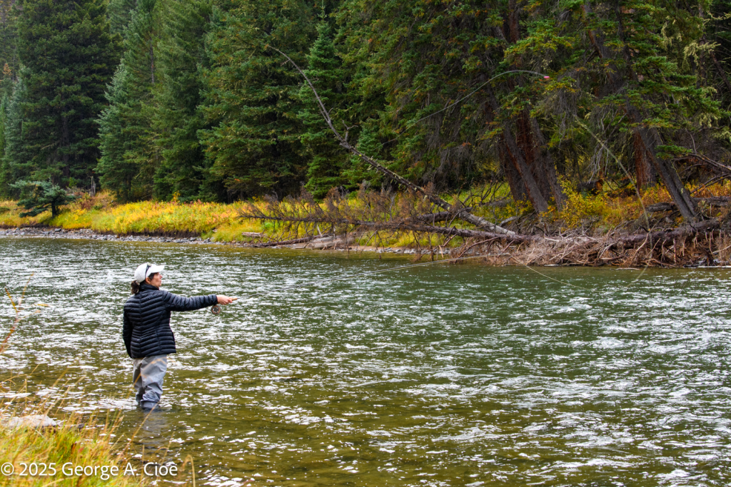 "Dream Meets River", Fly Fishing, Bib Sky, Montana