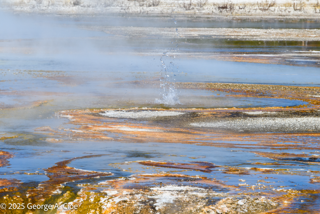 "The Pulse of the Planet" Yellowstone National Park