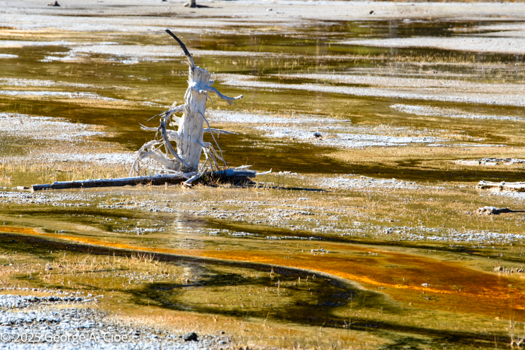 "Where Time Crystallizes" Rainbow Pool, Yellowstone