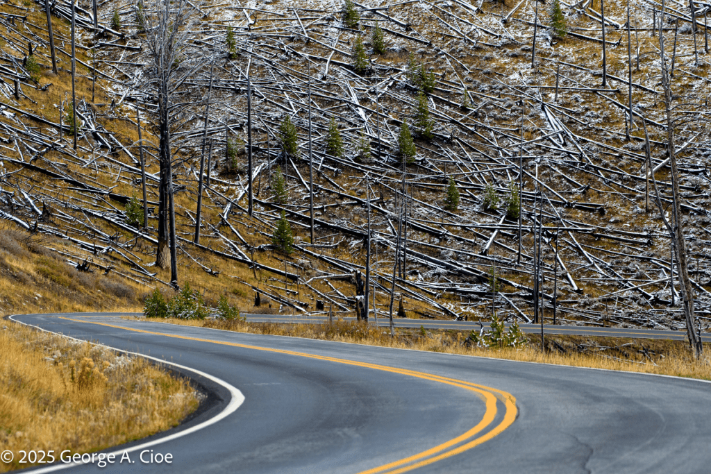 "Curves & Chaos" Yellowstone National Park