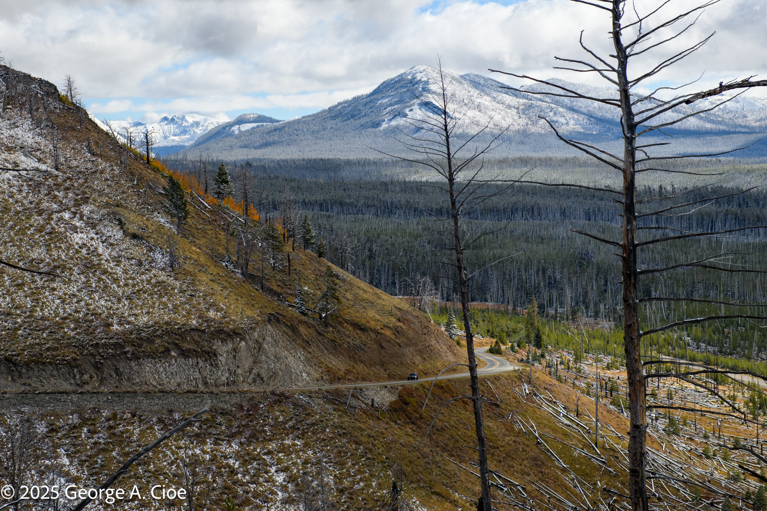 Where Hope Takes Root in Devastated Landscapes