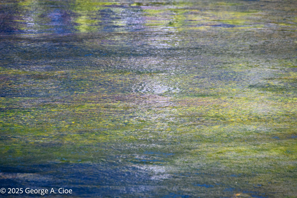 "Watercolor" Yellowstone River