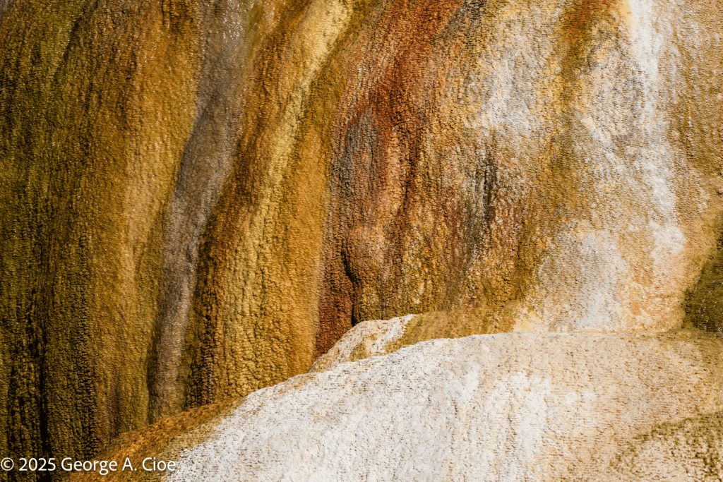 "Earth’s Watercolor" Yellowstone National Park