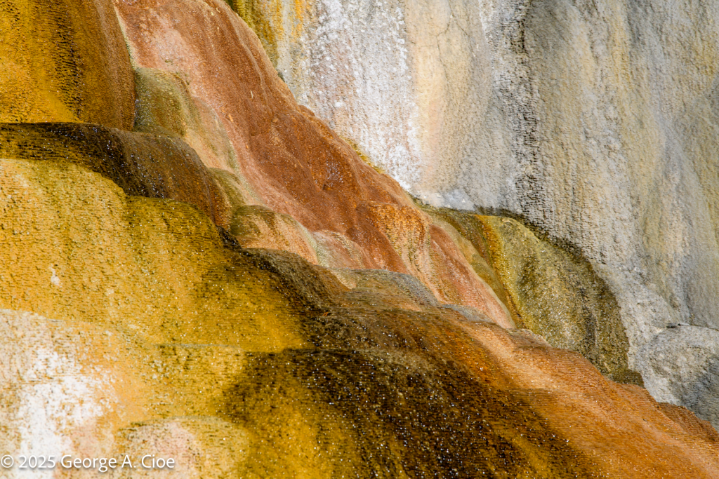 "Thermophilic Rainbows" Yellowstone National Park