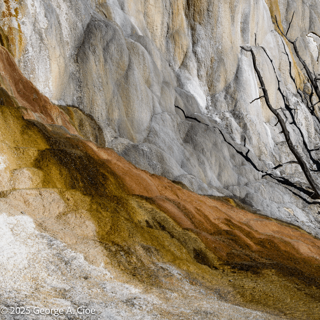 "Frozen in Flow" Yellowstone National Park