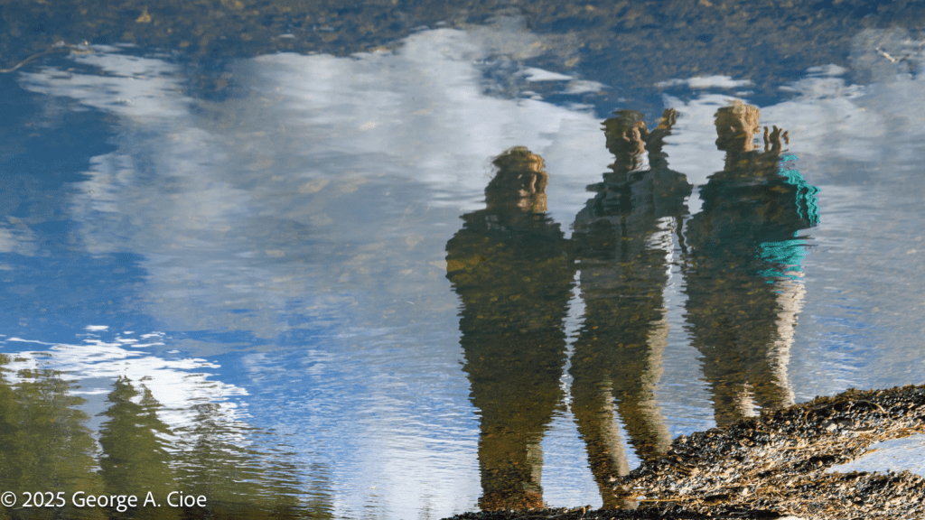 "Friends Reflecting"