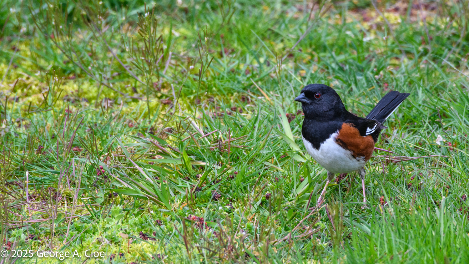 What’s in a Name? Apparently, a PhD and a Sense of Humor