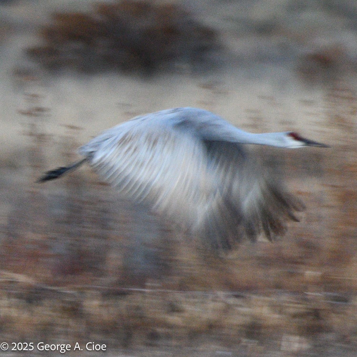 “What Would Don Do?” – My First Attempt at Impressionism