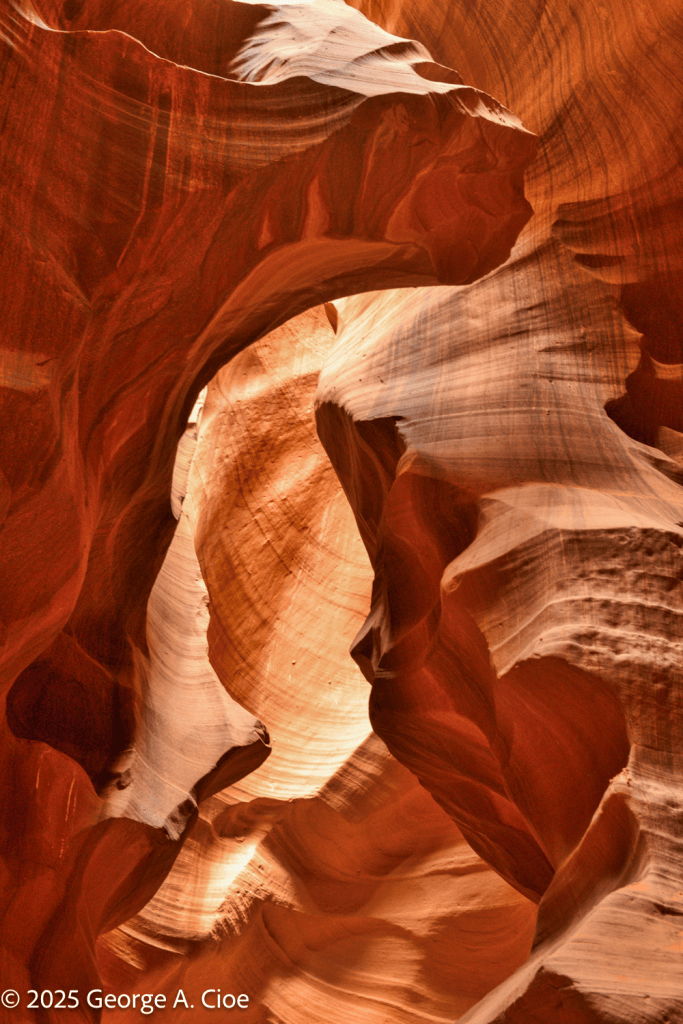 The Bear - Antelope Canyon