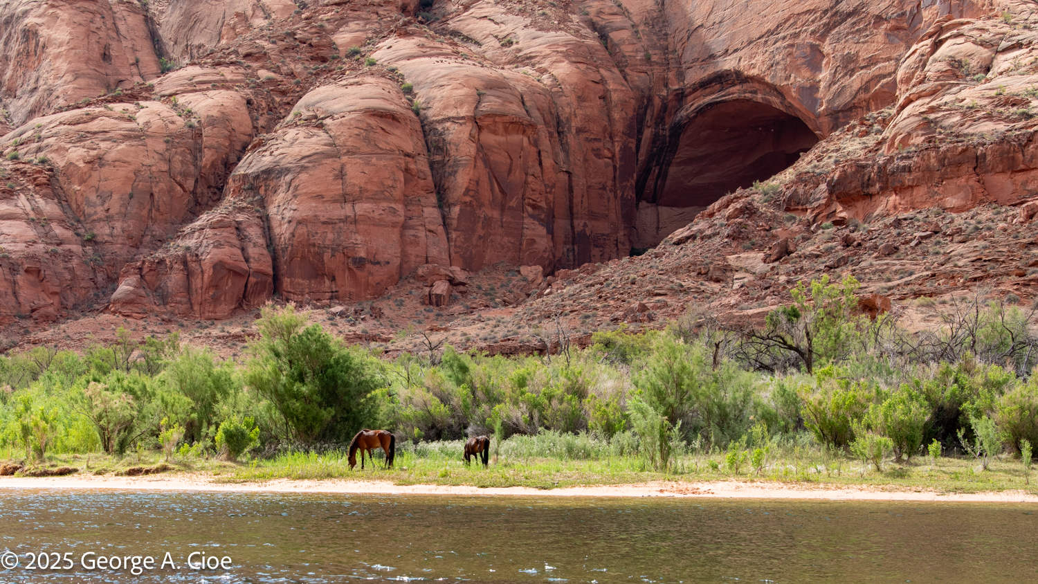 A Love Letter to the Colorado River’s Awe-Inspiring Views