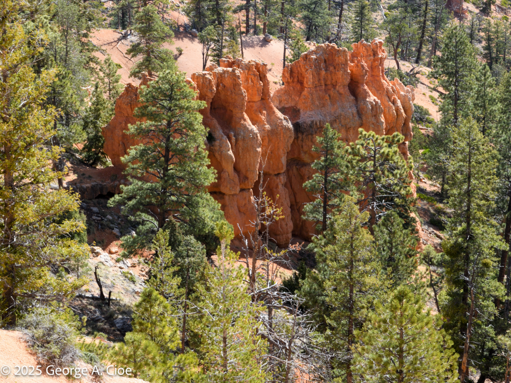 "Hoodoo Monks" Bryce Canyon