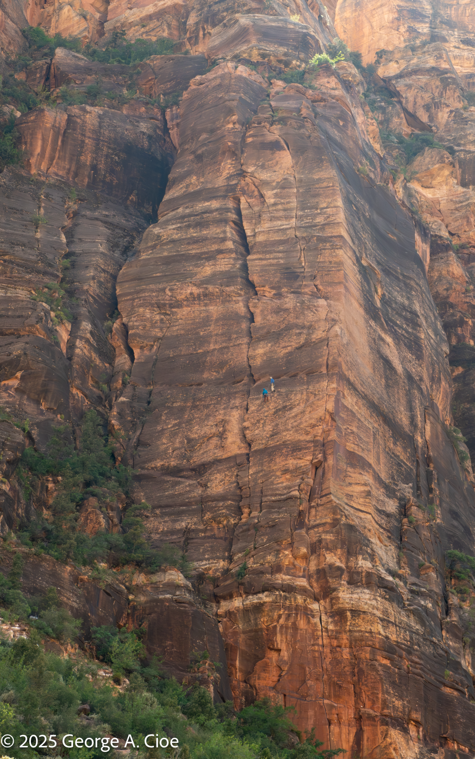 Rock Climbing in Zion National Park