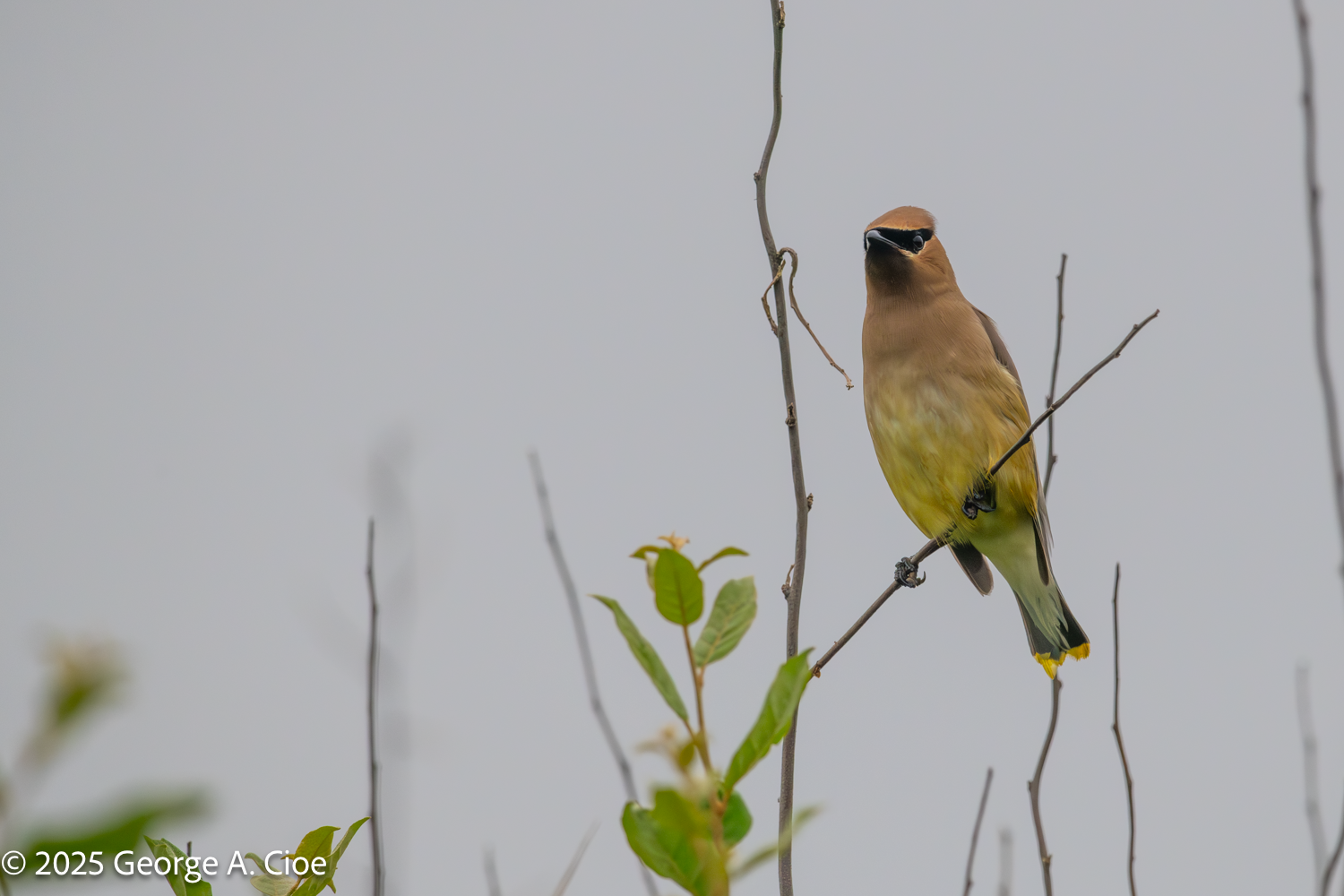 Sachuest Point National Wildlife Refuge Never Disappoints Visitors