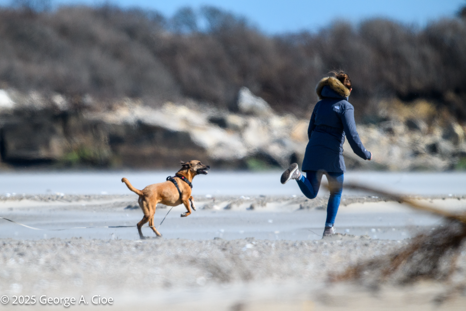 A Woman, Her Dog, and the Wisdom of Jane Goodall