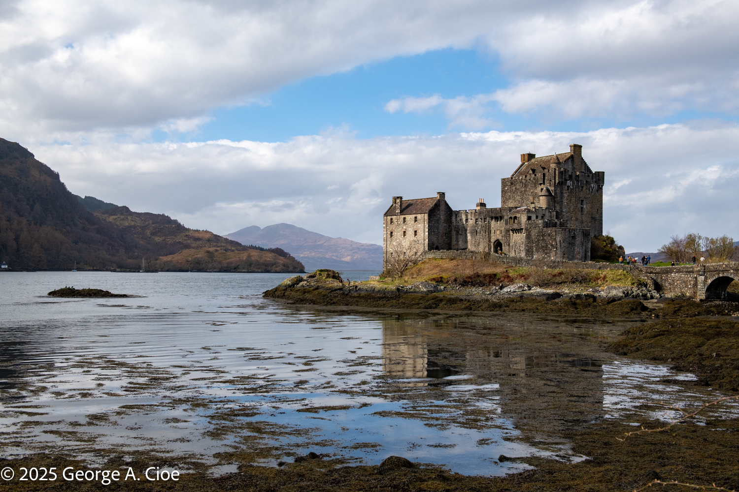 One Castle Two Loons and a Thousand Tourists: Our Journey