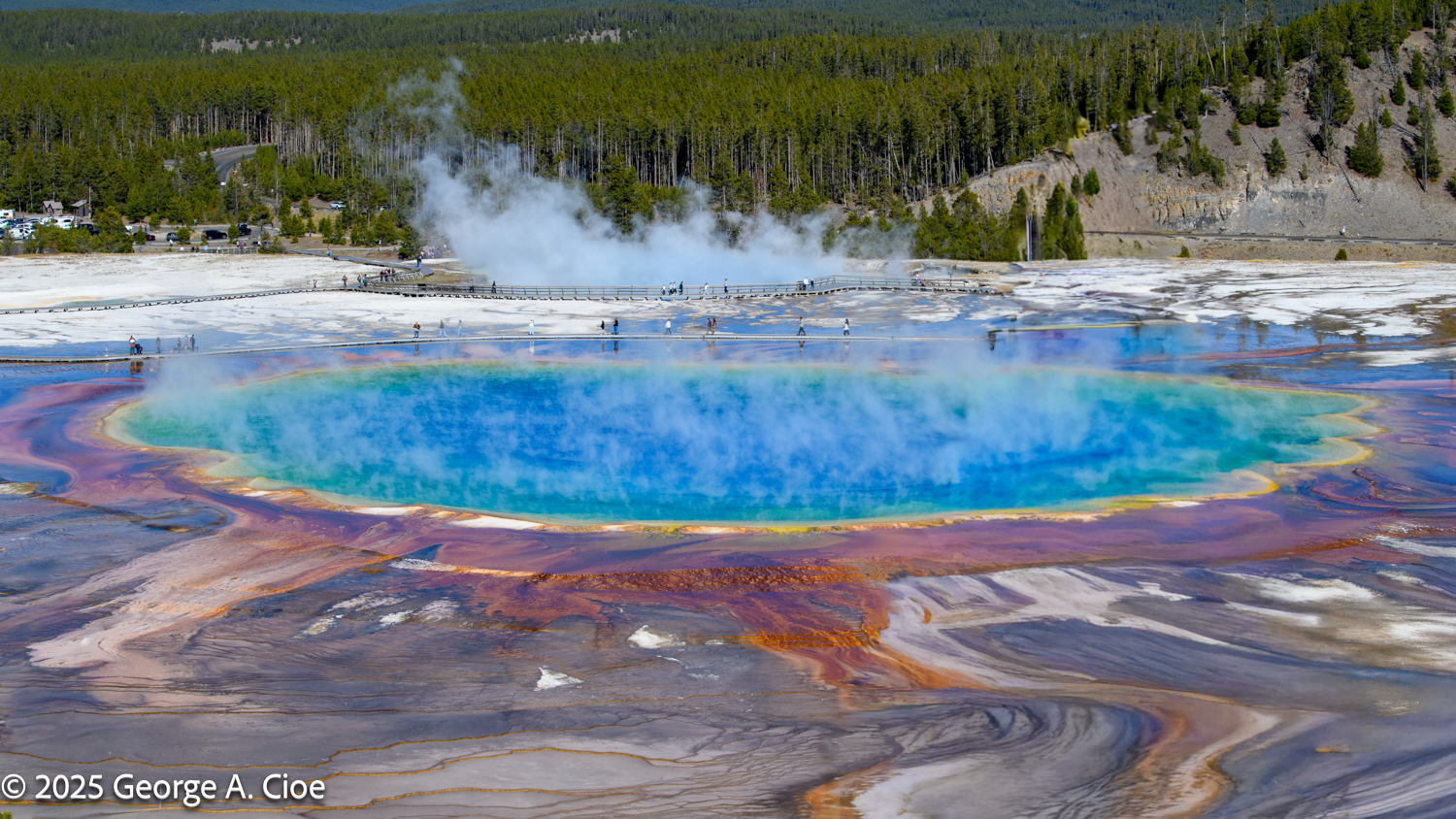 Prismatic Persistence: Exploring Yellowstone’s Wonders