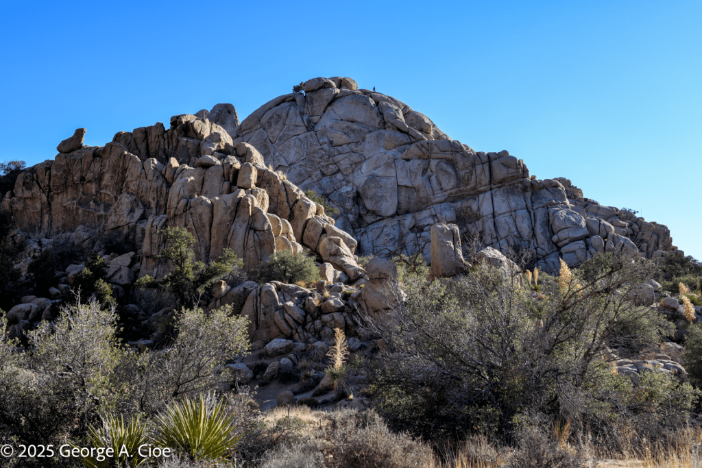 Man on a Rock - Joshua Tree National Park