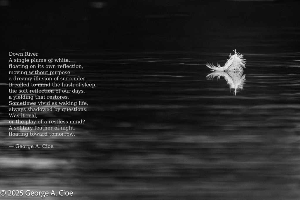 A Feather Floating with Poem Overlay