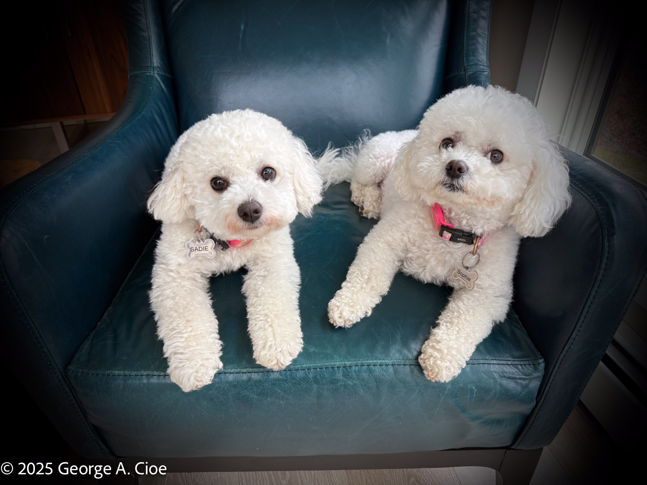 Joyful Only on Days That End With a “Y”: Find Happiness