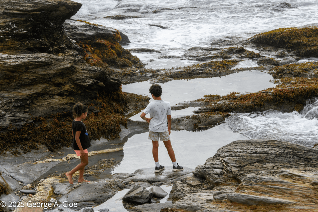 Grandchildren Exploring