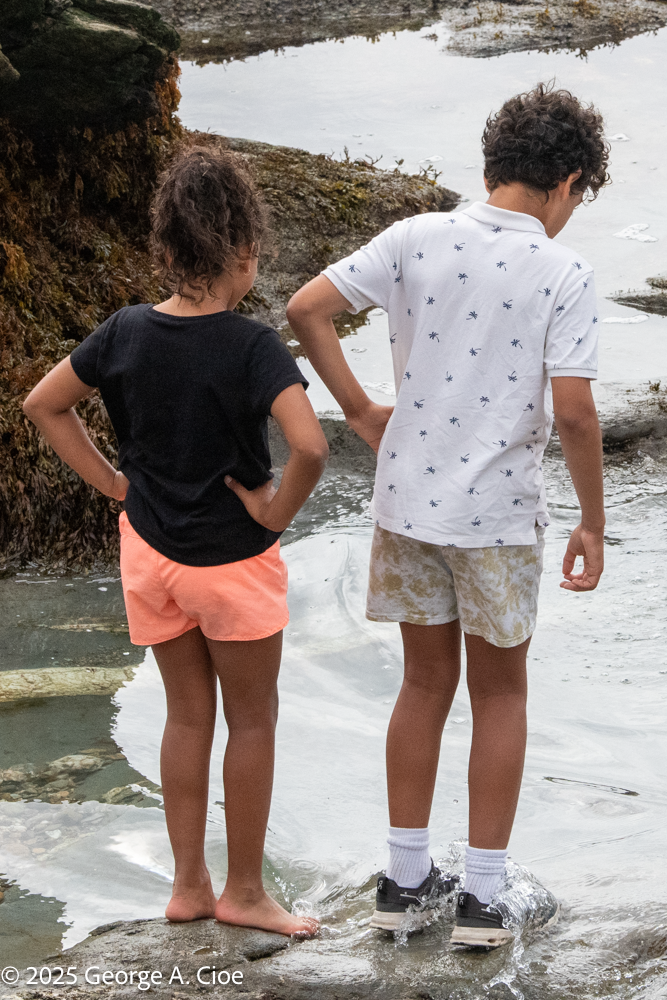 Grandchildren and Life’s Lessons Through Playful Moments 