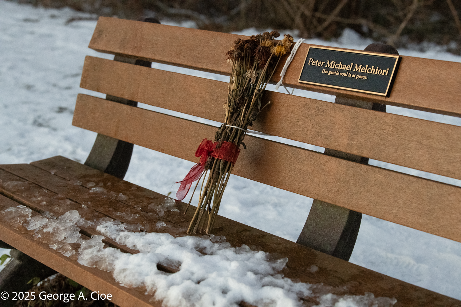 A Bouquet at Trustom Pond and the Power of Memory