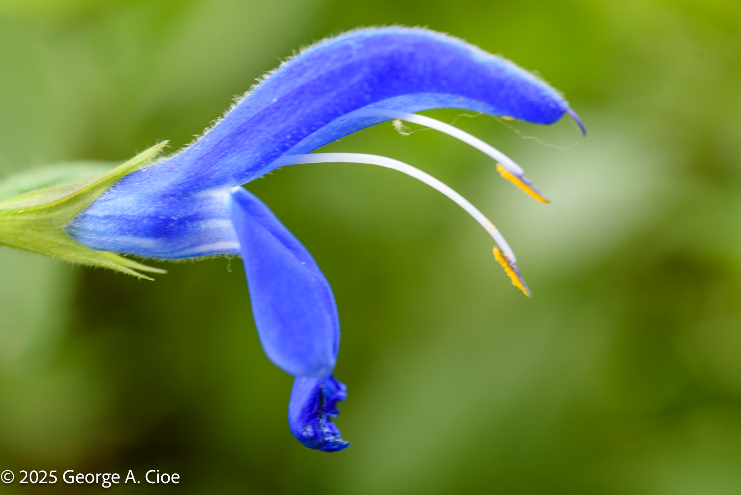 The Elegance of Intention: A Journey Through Oslo