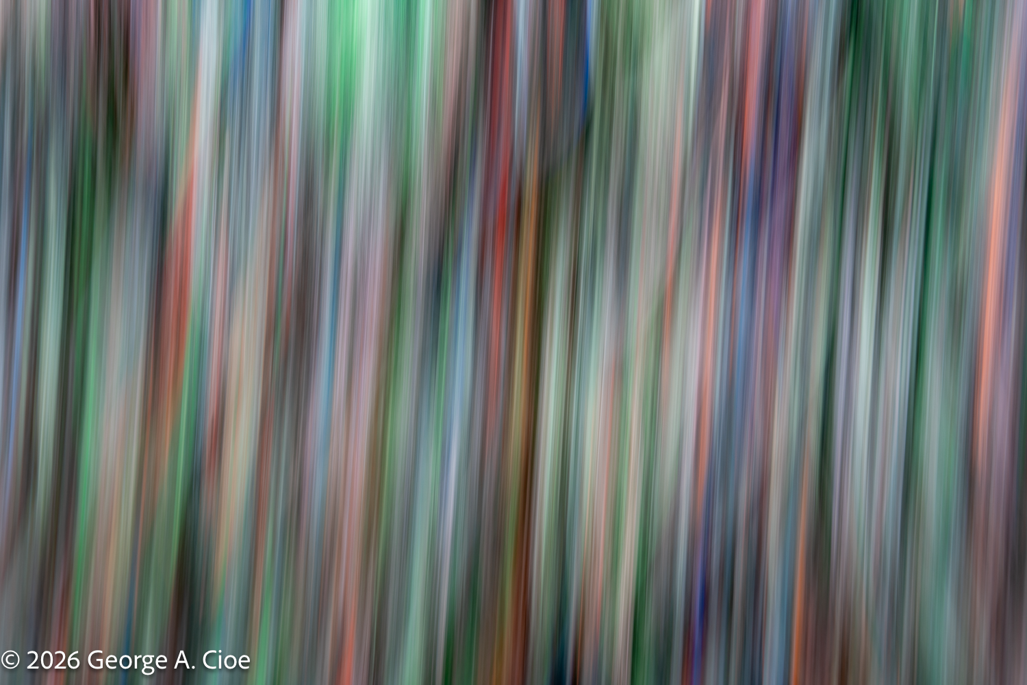 **The Creative Process: Finding Inspiration Everywhere