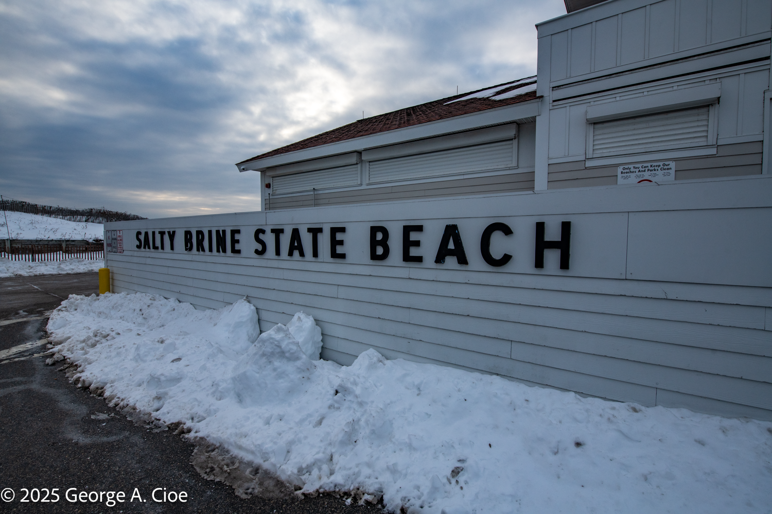 Salty Brine and Jeff: Cherished Television Moments