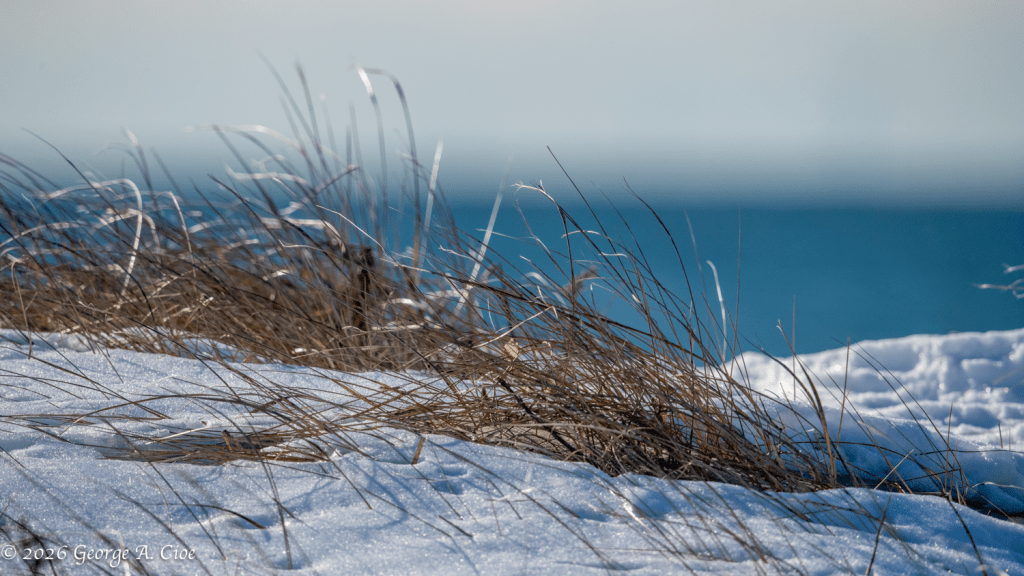 "Where I Belong" Rhode Island Sound