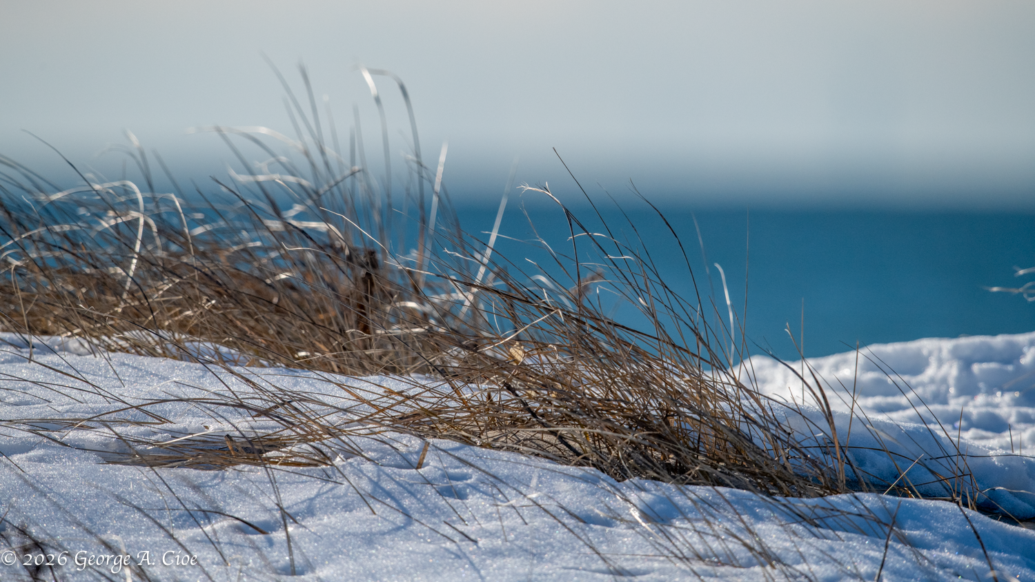 Where I Belong: Moments at Goosewing Beach