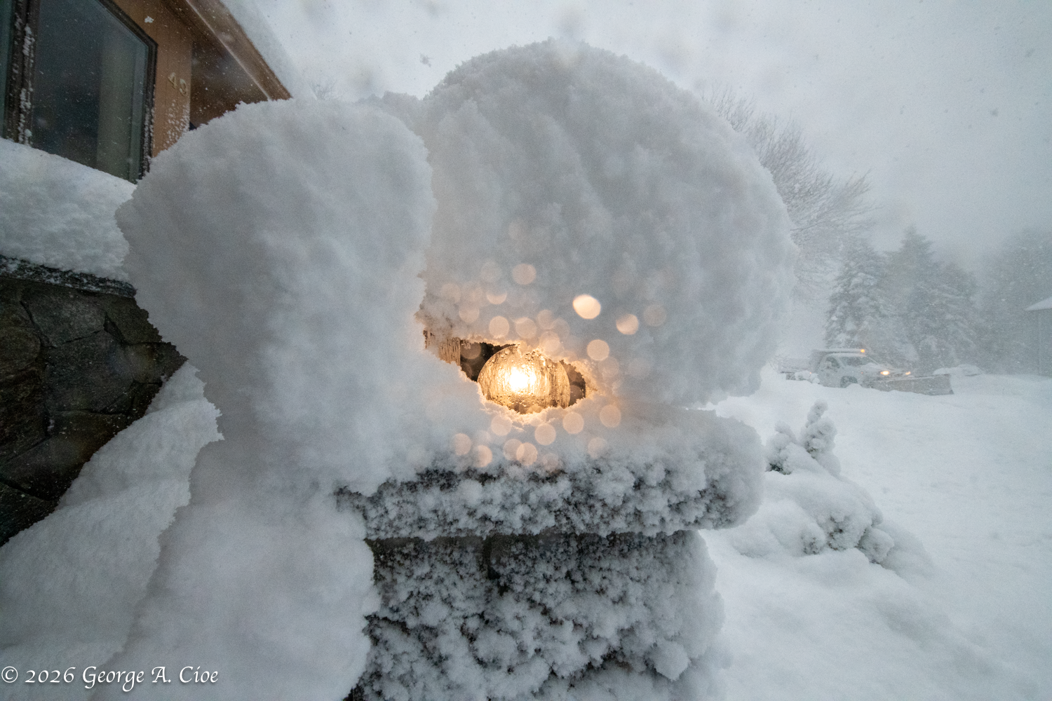 The Blizzard of 2026 — A Study in White and Grace