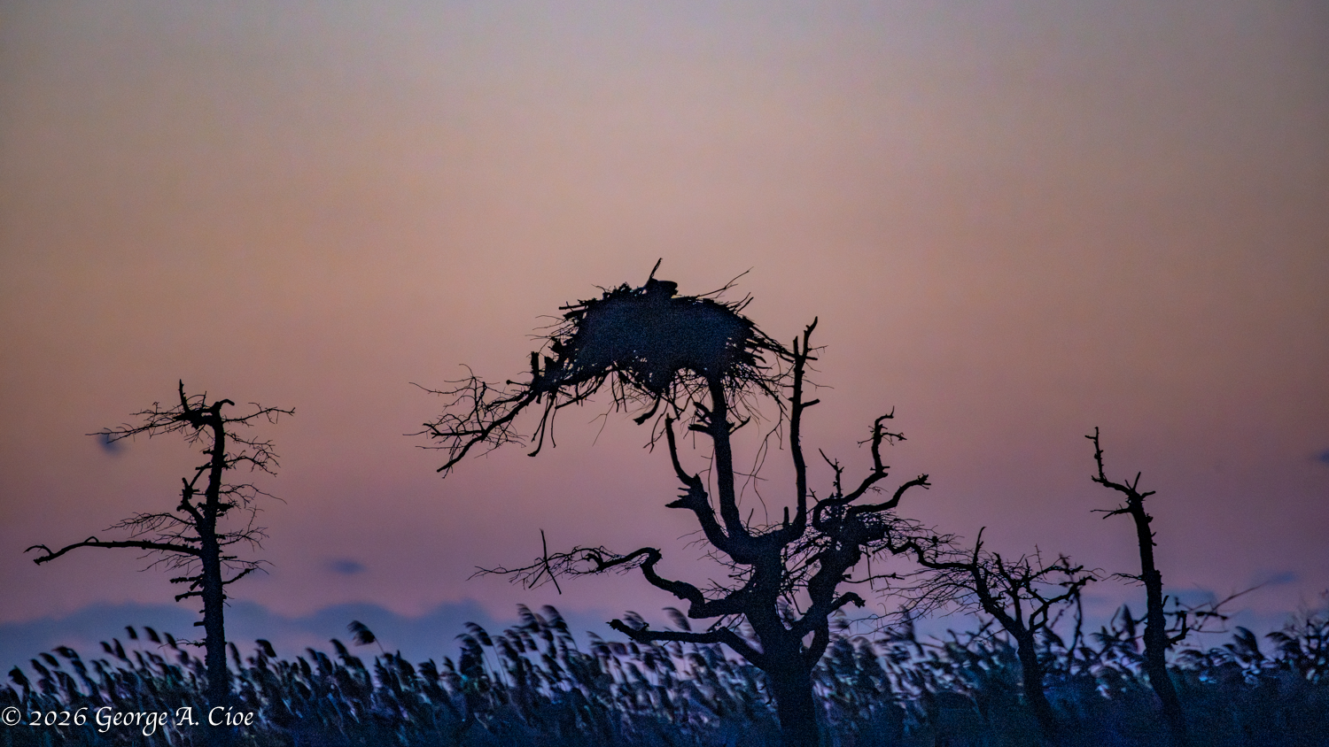 No Prompt Required: The Beauty of a Trustom Pond Sunrise