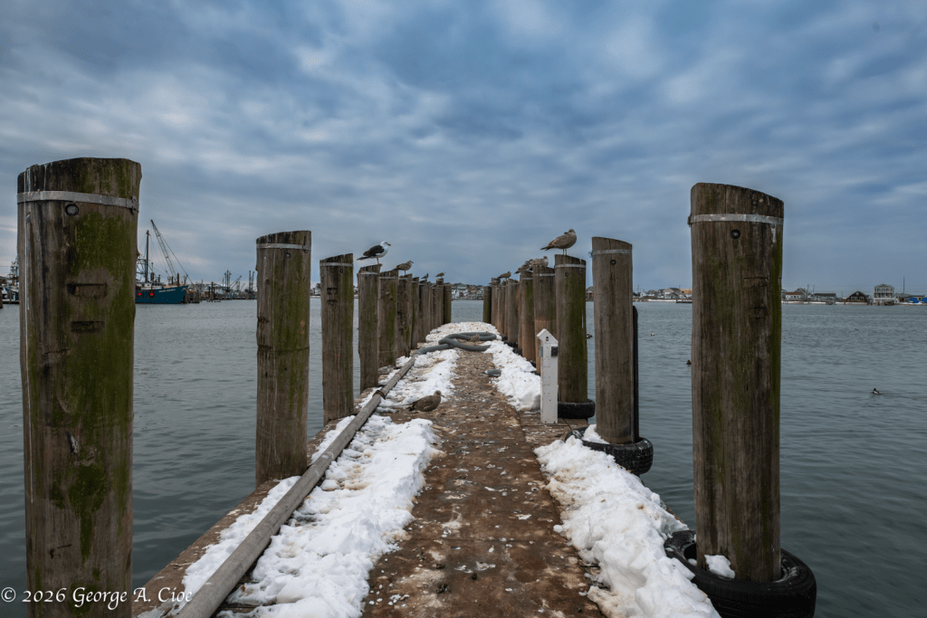 “Where the Question Begins” Dock at Point Judith