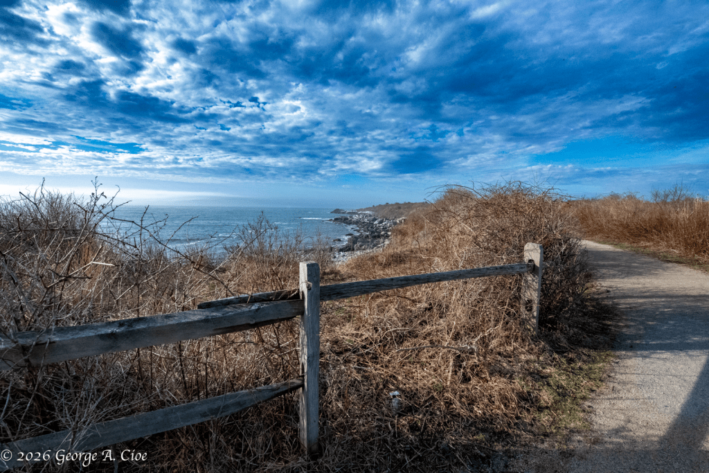“Character… with a Missing Piece” Sachuest Point National Wildlife Refuge